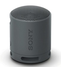 Sony SRS-XB100 altoparlante da