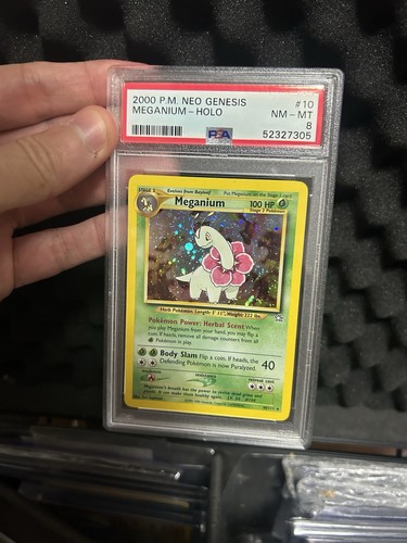 Nintendo pokémon tcg - pokémon, meganium