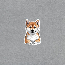 Adesivo Shiba Inu adorabile