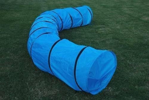 Dog agility training - 18,