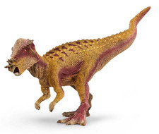 PACHYCEPHALOSAURUS