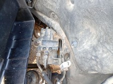 A1244606201 STERZO / 2393589