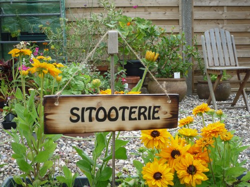 Insegna sitooterie esterno - insegna,