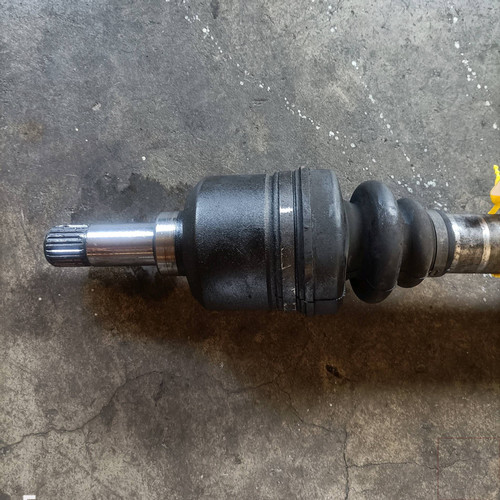 Semialbero ant compl - compl., sx