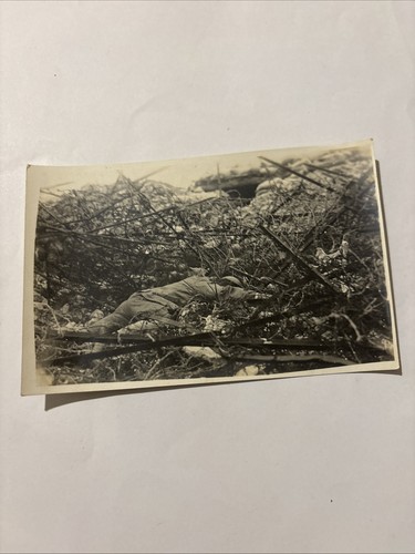 Foto militare cadavere - foto,