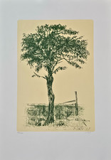 ALBERTO ZIVERI (1908-1990)