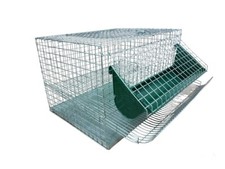 Gabbia per quaglie ovaiole senza piedi di rialzo cova nido voliera ovaiole 