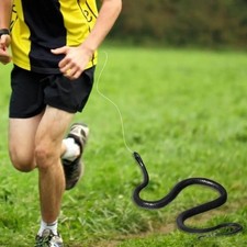 Scherzo serpente realistico