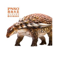 PNSO 2020 Gavin il