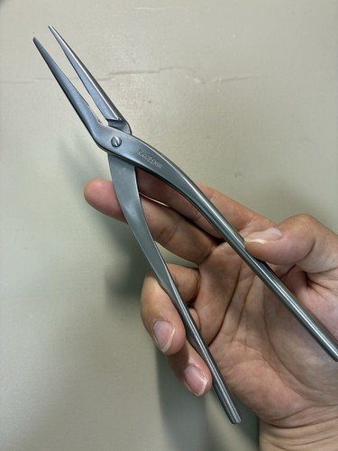 Pinza per bonsai kaneshin - pinza, inox