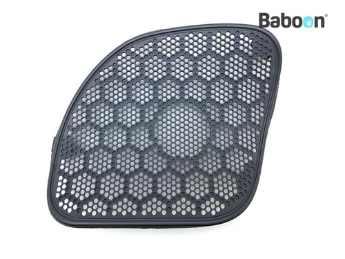 Speaker radio sinistro