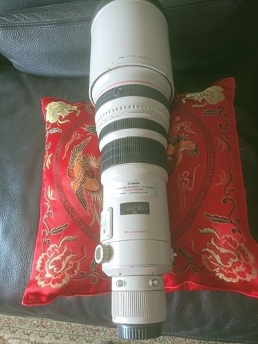 Canon 500mm 500 4 is - 500mm, 500/4