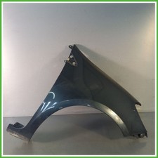 Parafango Carrozzeria