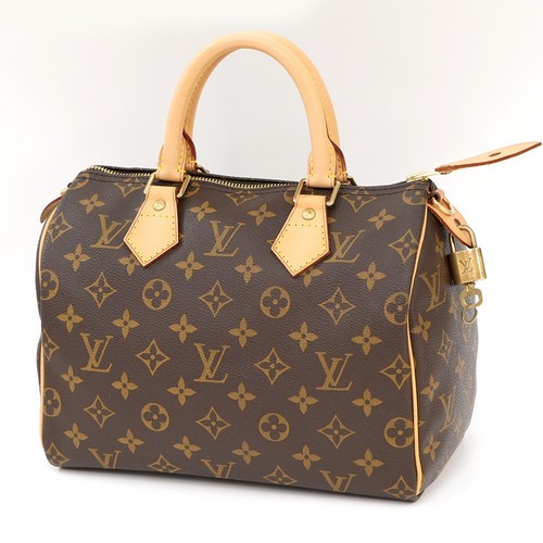 Borsa mano louis vuitton - borsa,