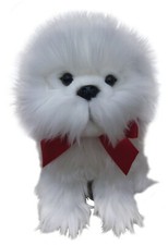 Orsacchiotto maltese - , 12"
