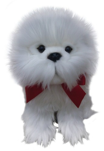 Orsacchiotto maltese - , 12"