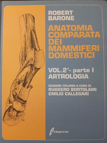 Anatomia comparata dei