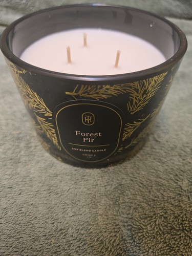 Candela abete della foresta