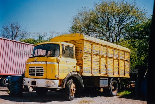 Foto camion berliet - camion,