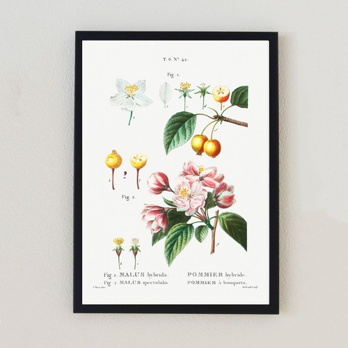 Illustrazione floreale vintage