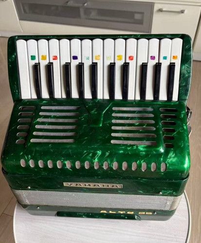 Fisarmonica yamaha alto25 - fisarmonica,