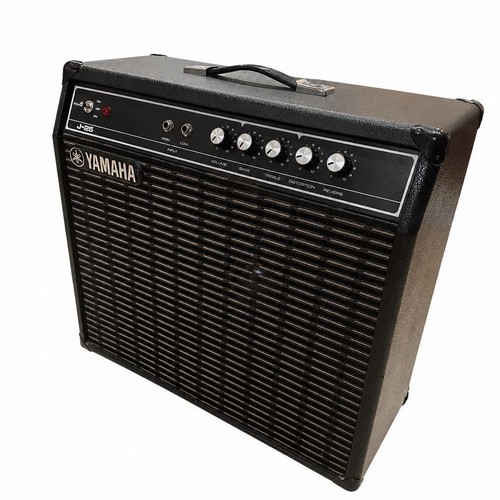 Raro amplificatore combinato