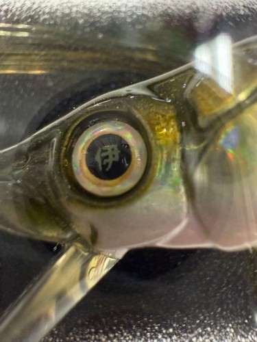 Megabass vision oneten - vision,