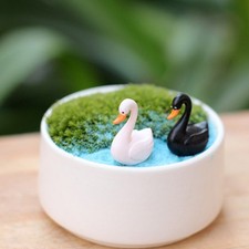  20 Pcs Arredamento Della Casa