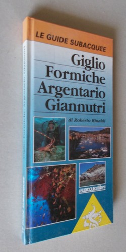 Rinaldi le guide - r.,