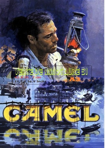 Tabac camel style aventure - -,