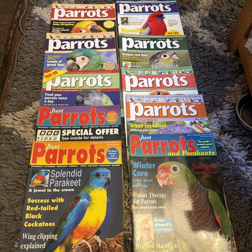 Parrots magazine bundle 10 - parrots,