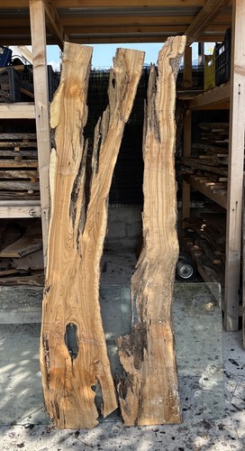 Coppia tavole legno di - di,