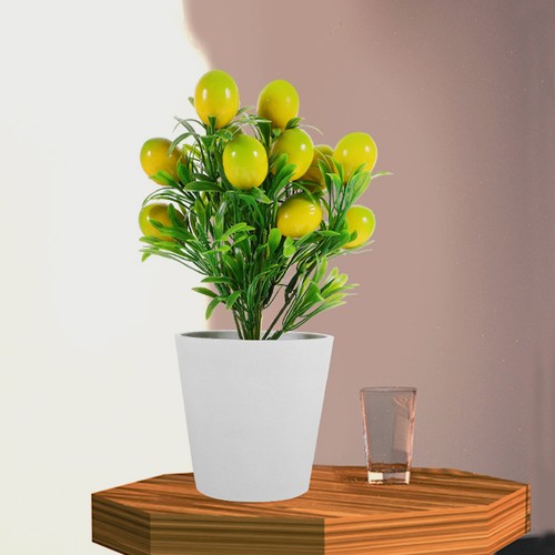 Set piante alberi di - 2,