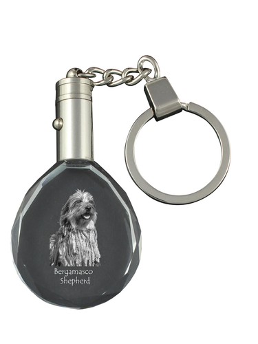 Cane pastore bergamasco - cane,