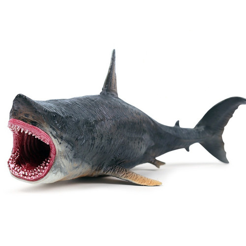 Organismo marino simulato - marino,