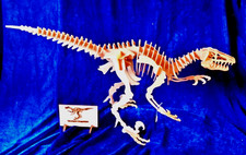 1x DINO 80 cm puzzle 3D legno