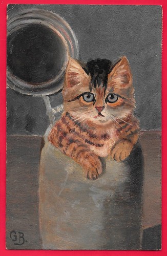 Gatto gatti - -,