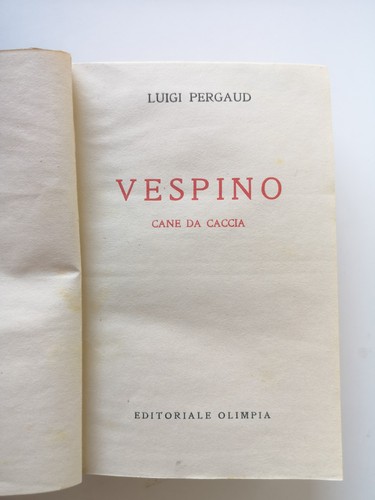 Vespino cane caccia - cane, da
