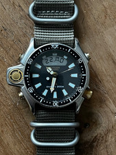 Citizen Aqualand promaster