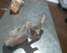 vaschetta acqua tergicristalli