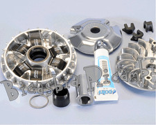 5917 - VARIATORE POLINI