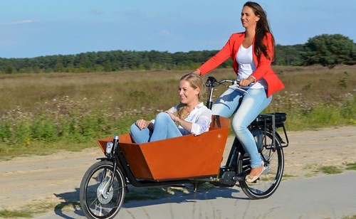 Bakfiets family cargo bike