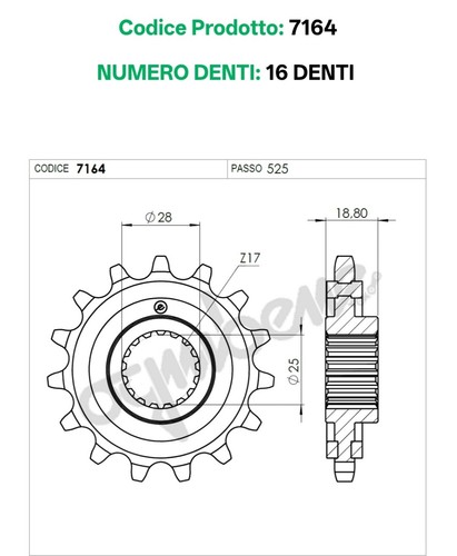 7164 pignone acciaio silent - 7164, in