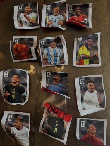 Panini fifa world cup - fifa,