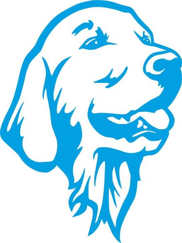 Cane dog stikers adesivo - cane, stikers-adesivo