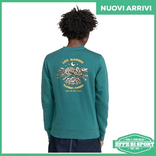 Felpa girocollo uomo - , element