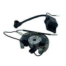 Bobina accensione volano