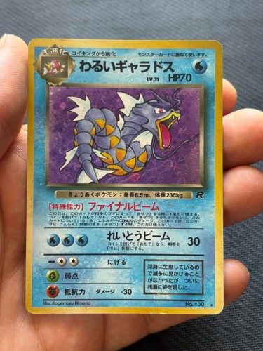 Pokemon japanese dark gyarados - pokemon,