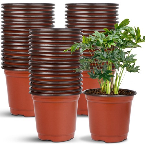 Augshy vasi plastica da - plastica,