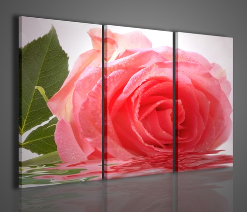 Quadri moderni beautiful rose - quadri,